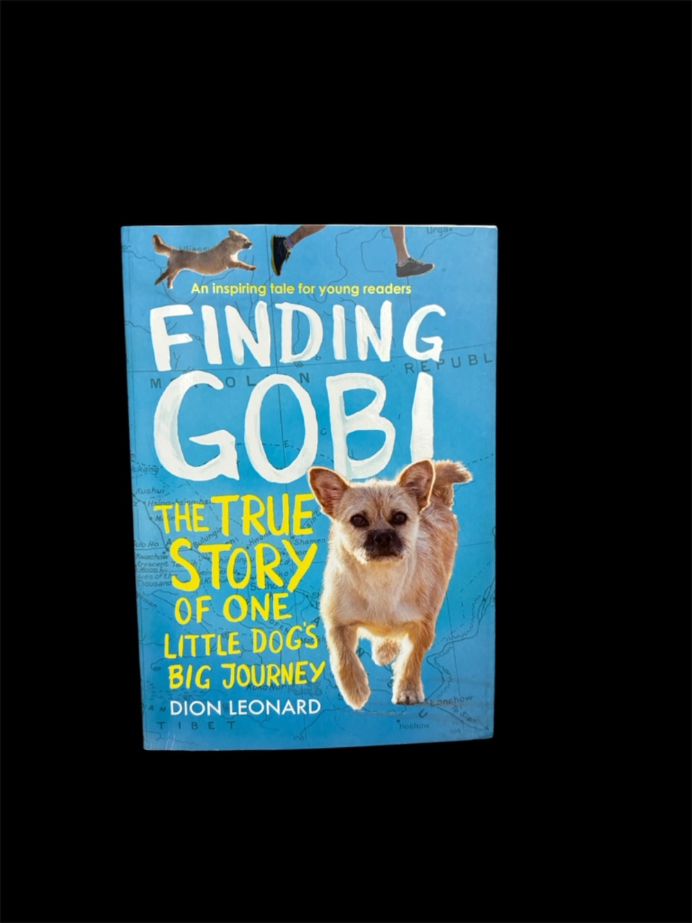 Finding Gobi by Dion Leonard Scholastic Paperback Dogs True Stories